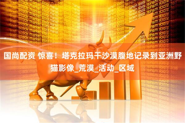 国尚配资 惊喜！塔克拉玛干沙漠腹地记录到亚洲野猫影像_荒漠_活动_区域