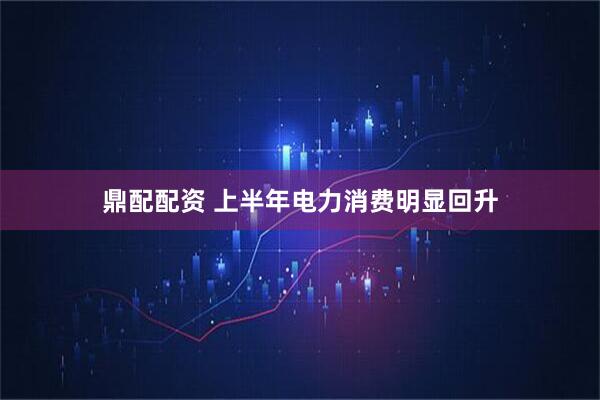 鼎配配资 上半年电力消费明显回升